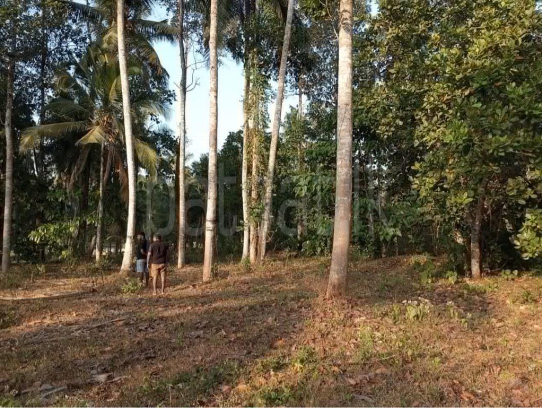 Agricultural Land for Sale in Badalgama