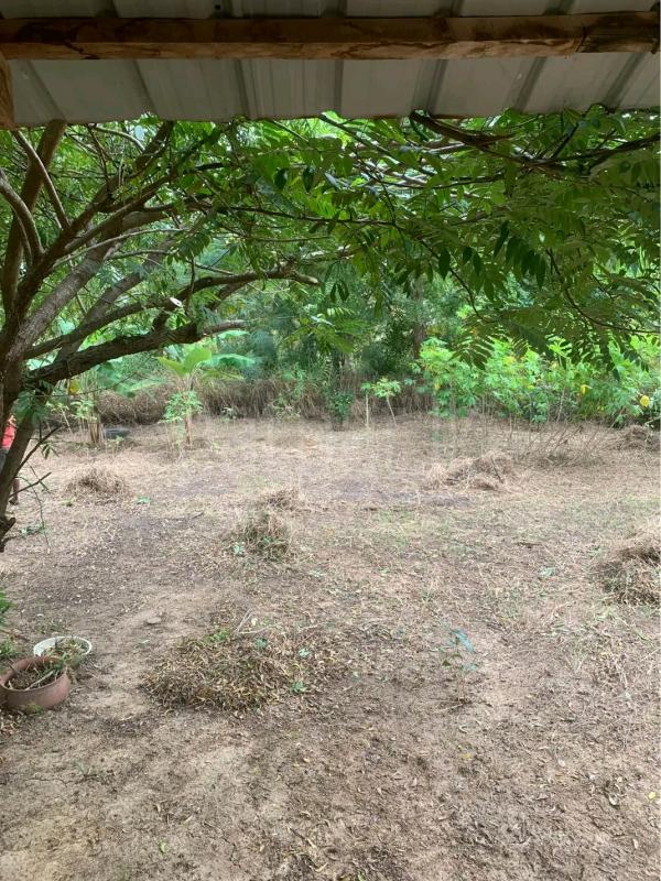 Agricultural Land for Sale in Gampola