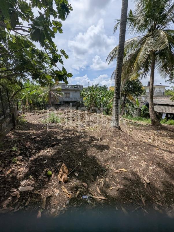 Residential Land for Sale in Kadawatha