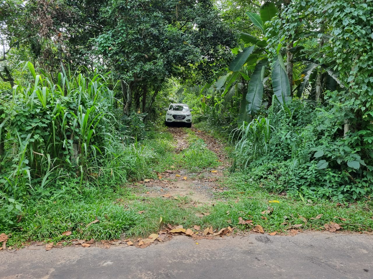 Residential Land for Sale in Kadawatha