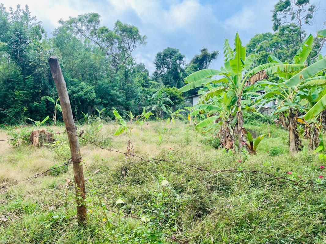 Residential Land for Sale in Anuradhapura