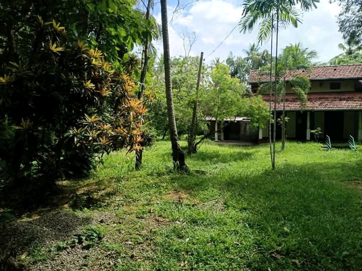 Commercial Land for Sale in Narammala