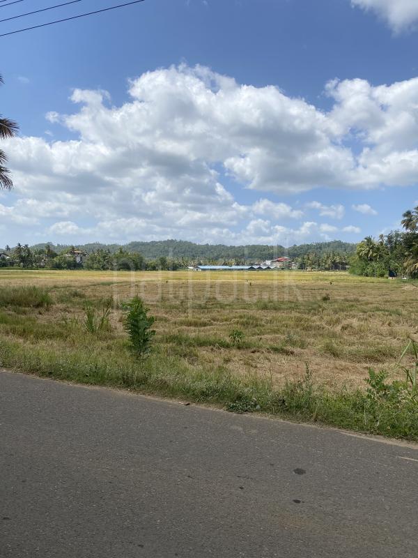 Residential Land for Sale in Hakmana ads-image-1