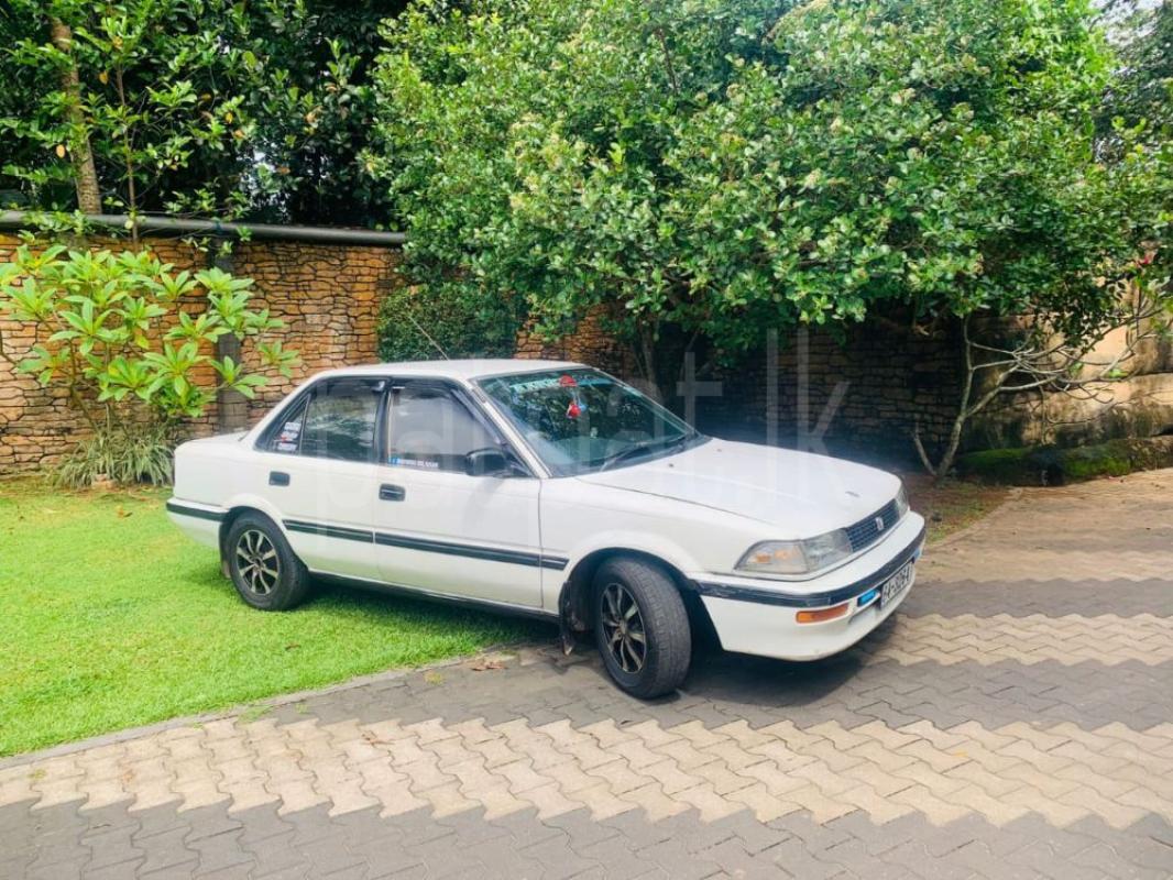 Advertisement image 1