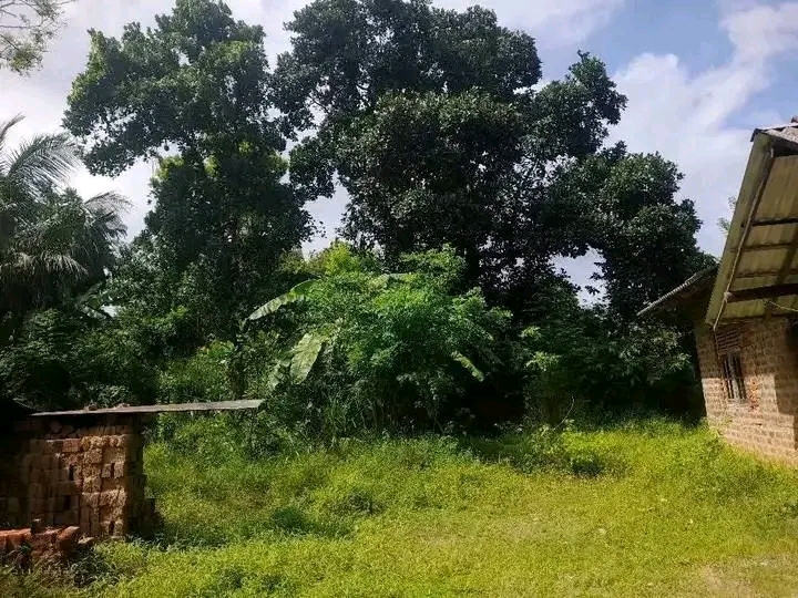 House for Sale in Ranna