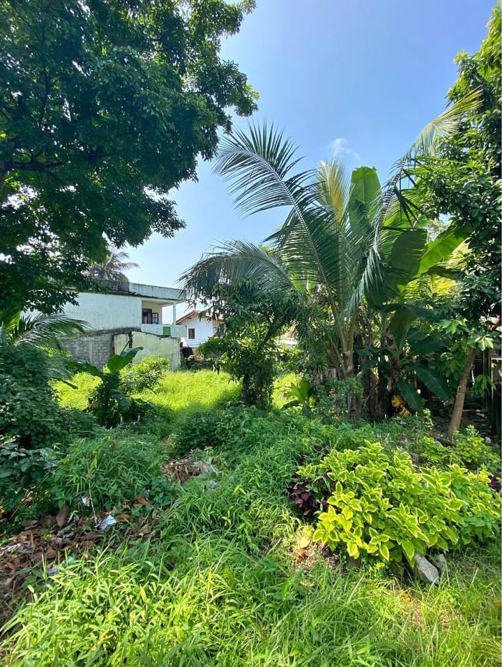 Residential Land for Sale in Nugegoda ads-image-1