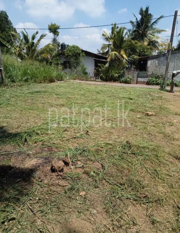 Residential Land for Sale in Kandana ads-image-1