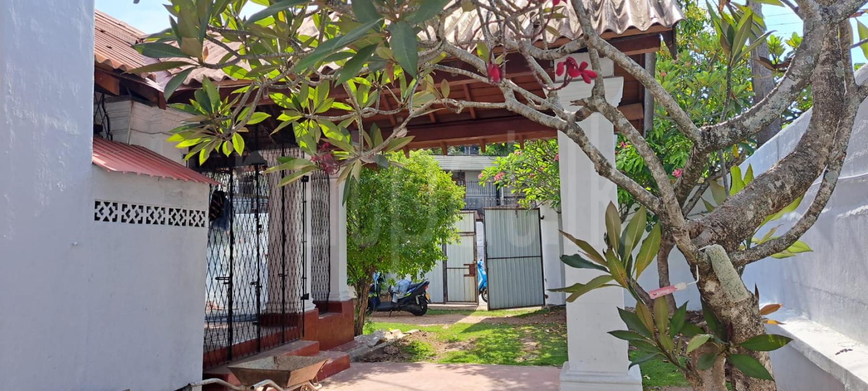 House for Rent in Maradana (Colombo 10)