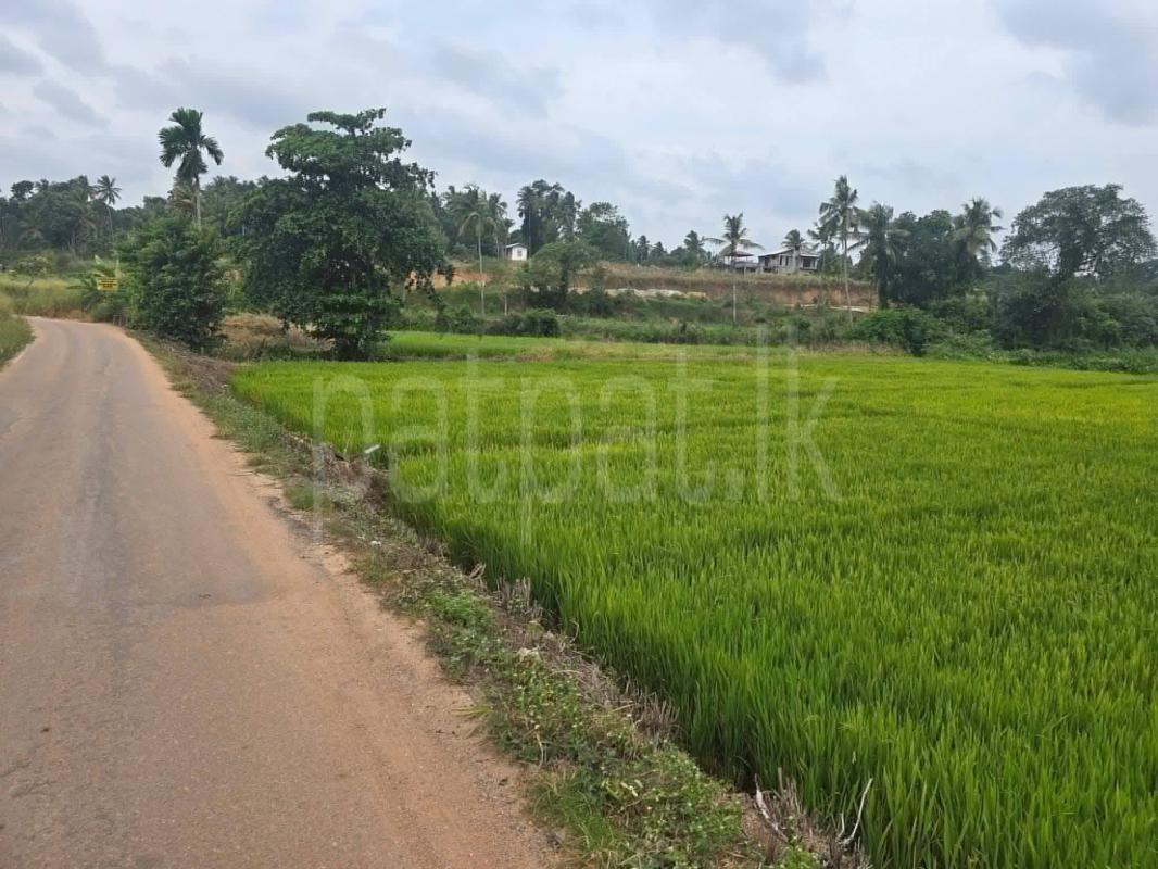 Residential Land for Sale in Kadawatha