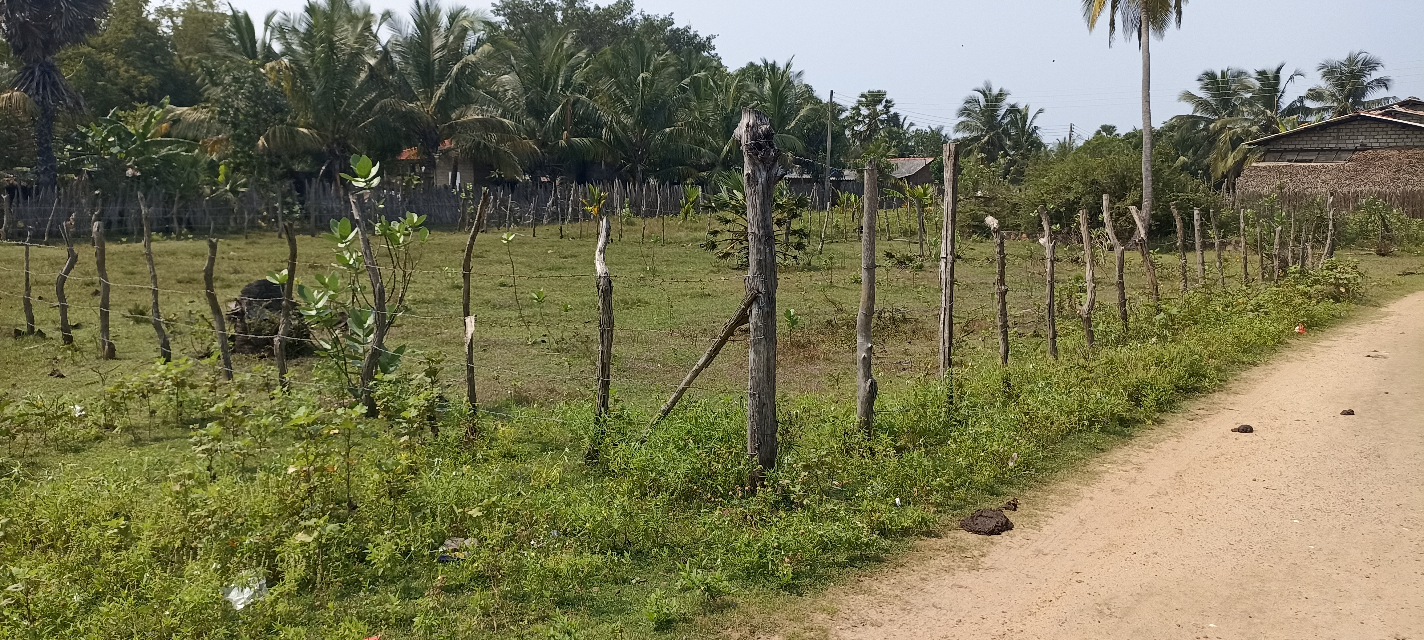 Residential Land for Sale in Puttalam
