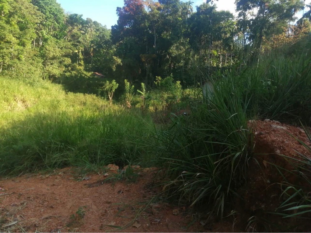 Residential Land for Sale in Gampola ads-image-1