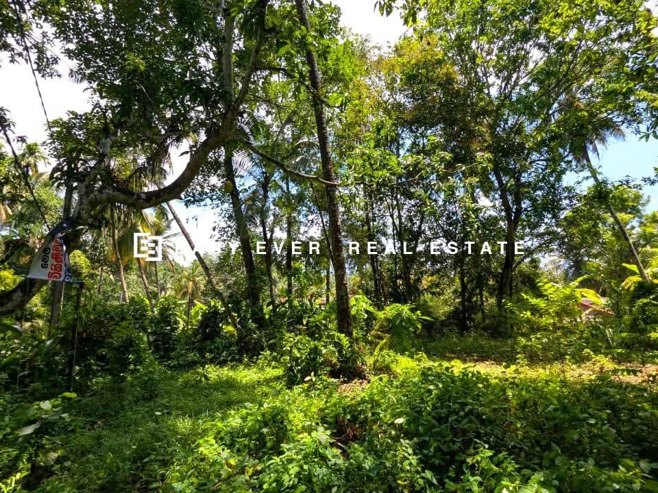 Residential Land for Sale in Kadawatha