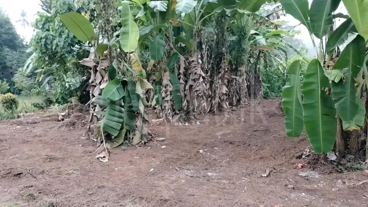 Agricultural Land for Sale in Maggona