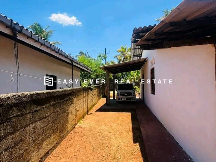 Residential Land for Sale in Giriulla