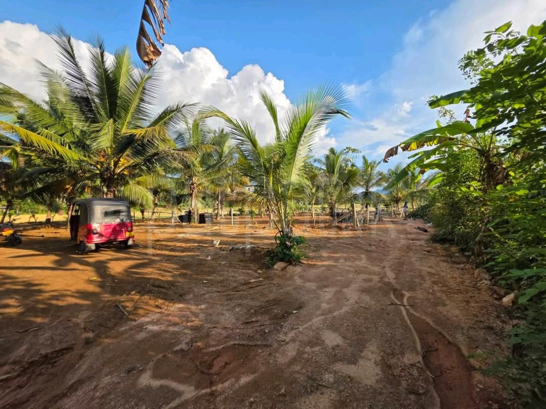 Agricultural Land for Sale in Ridigama ads-image-1