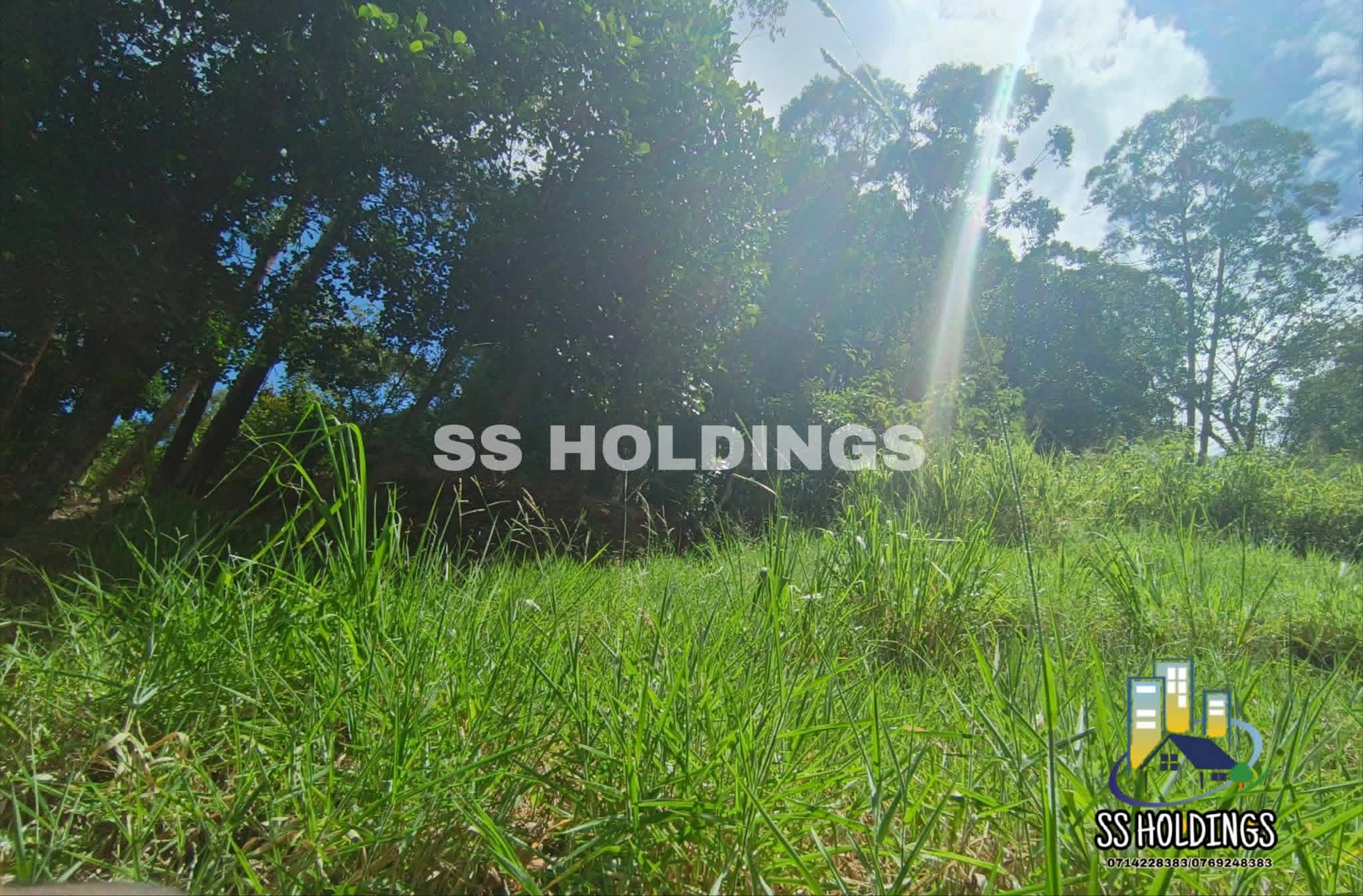Commercial Land for Sale in Welimada