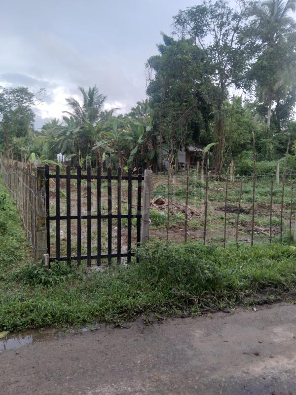 Residential Land for Sale in Meegoda ads-image-1