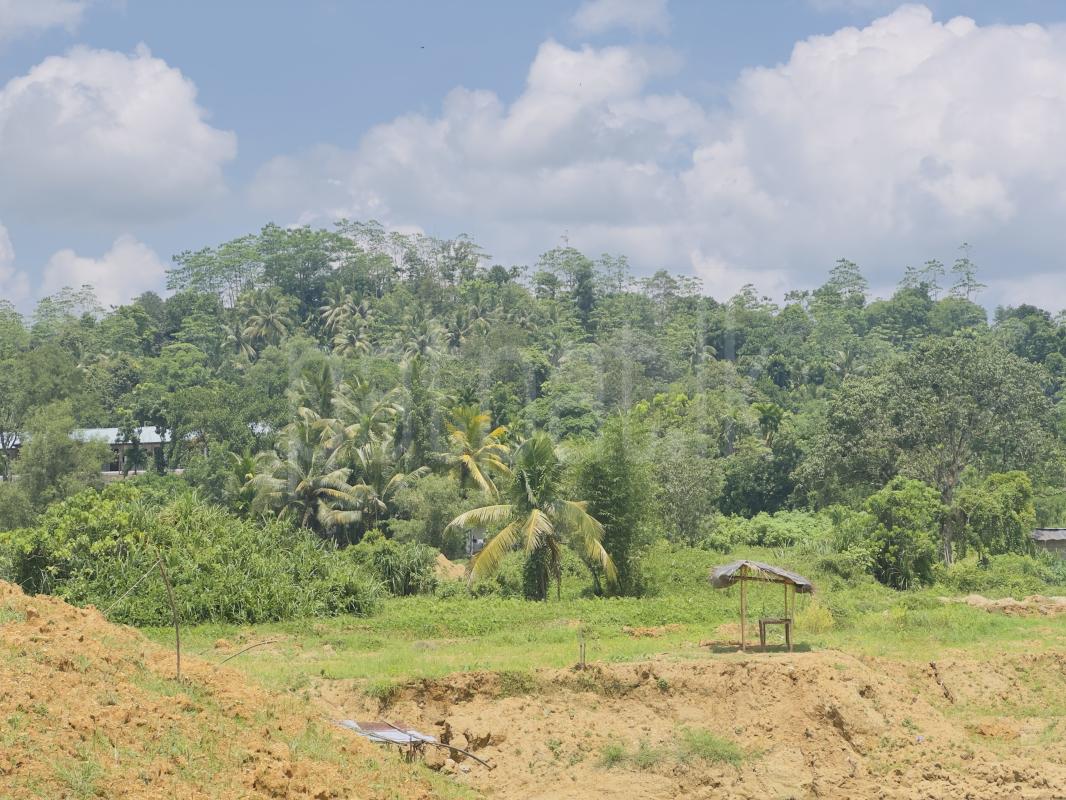 Agricultural Land for Sale in Ratnapura