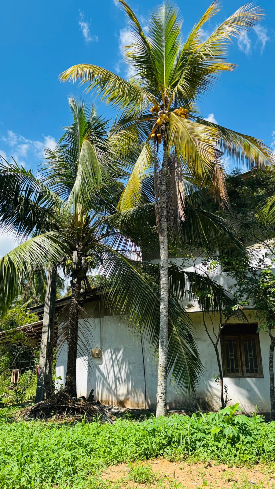 Residential Land for Sale in Kahathuduwa ads-image-1