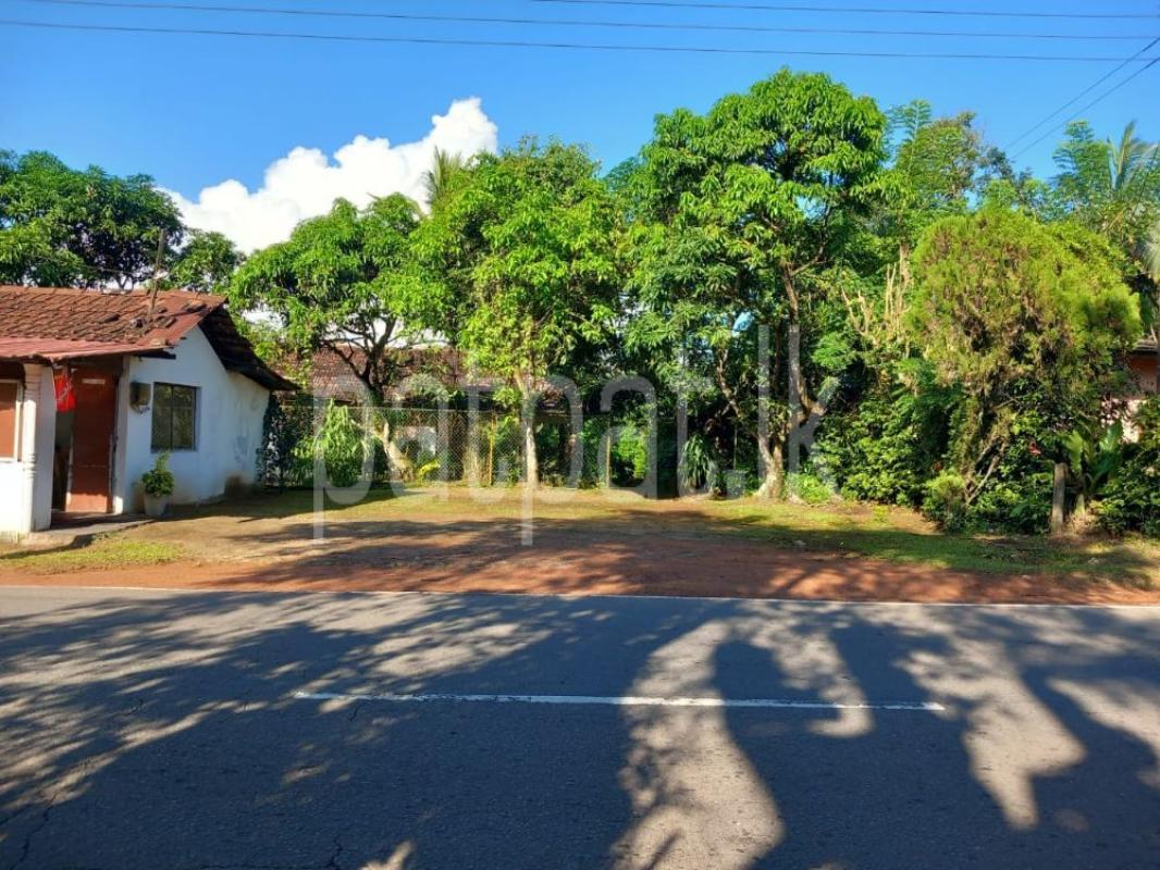 Advertisement image 1