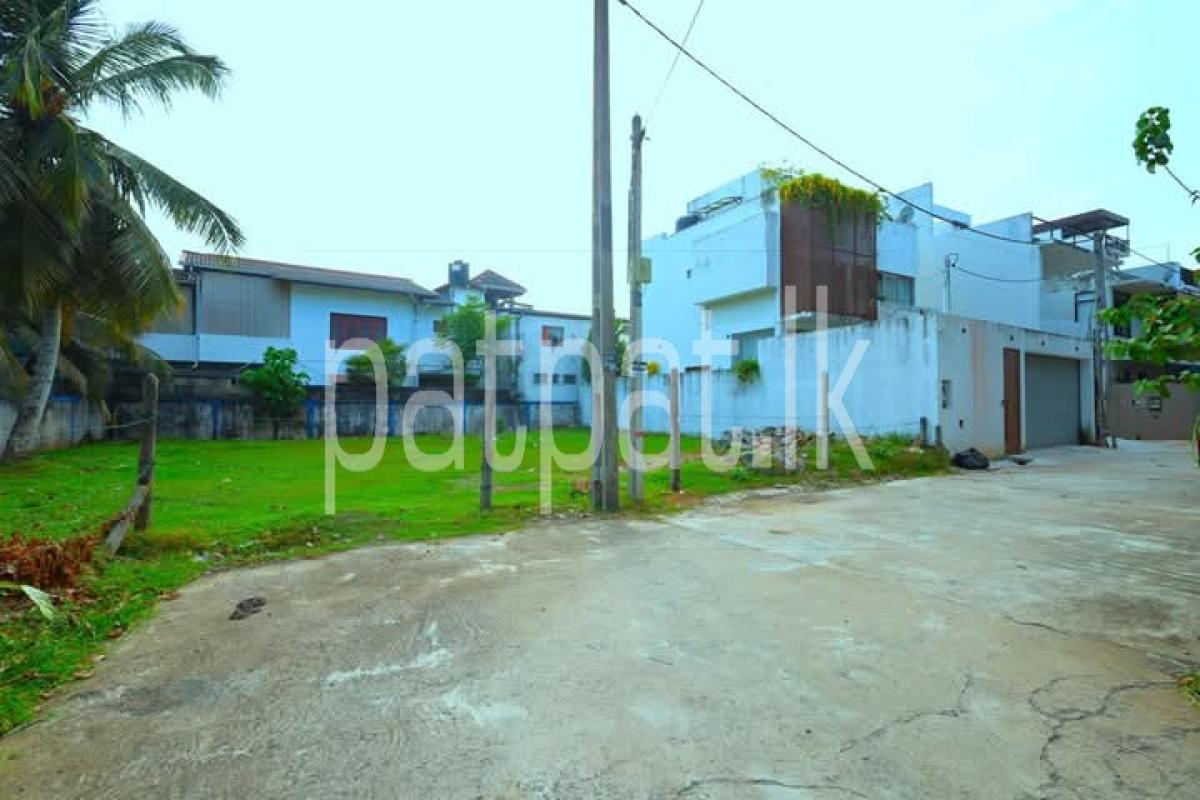 Advertisement image 1