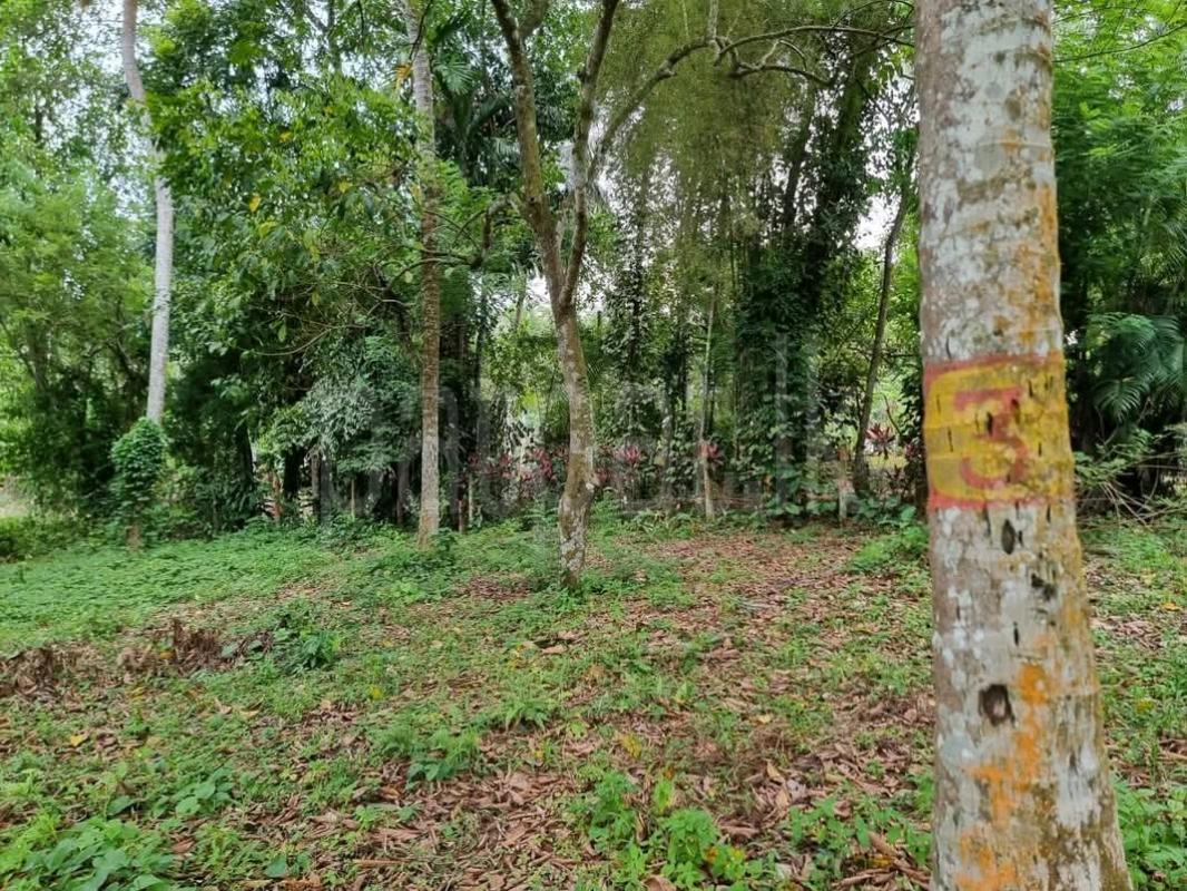 Agricultural Land for Sale in Padukka