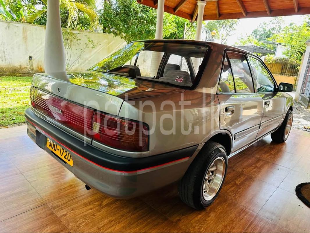 Advertisement image 2