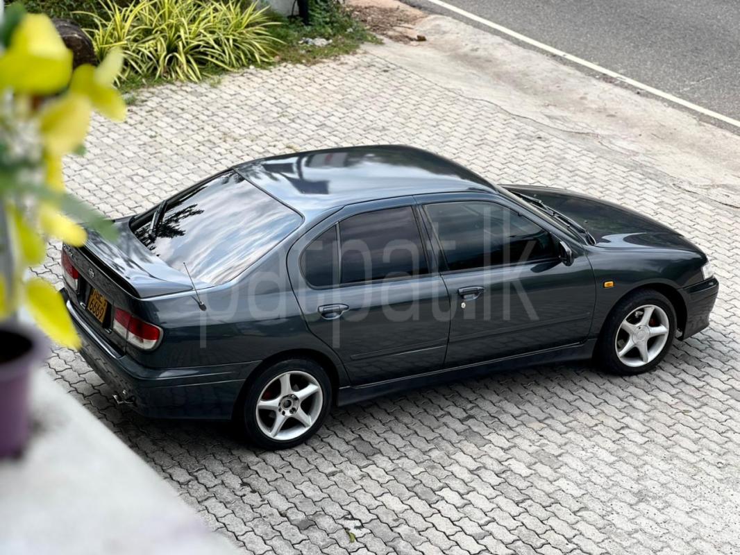 Advertisement image 6