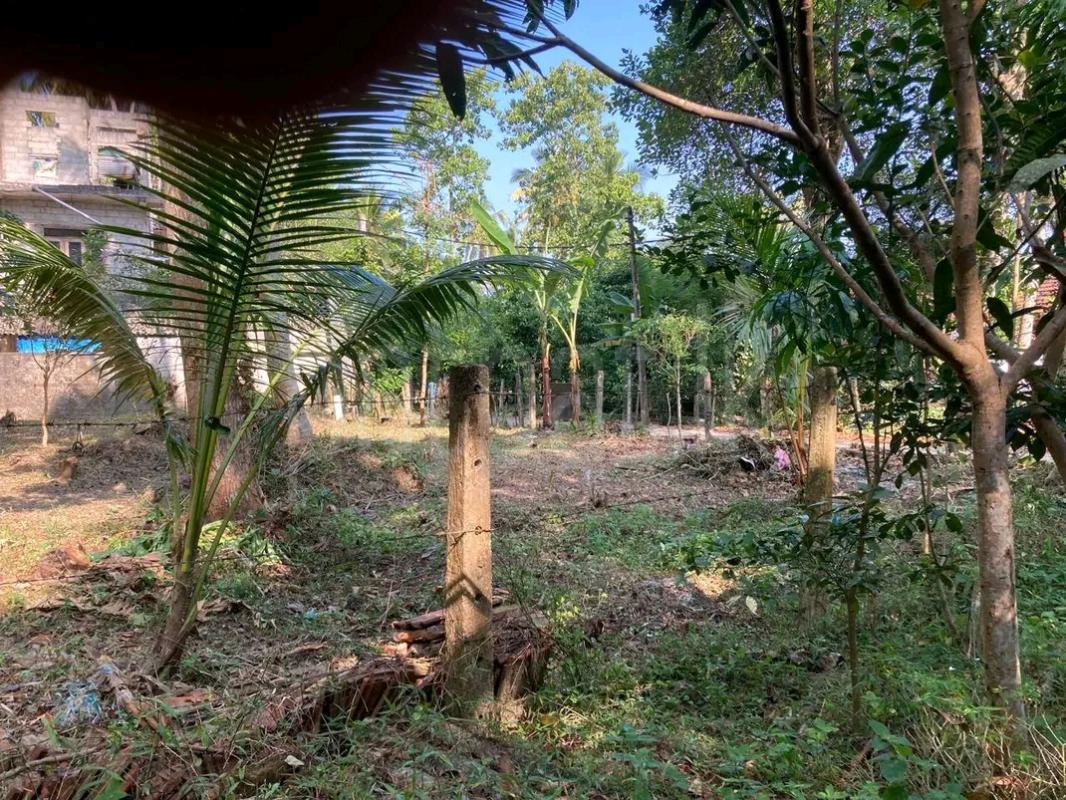Residential Land for Sale in Wadduwa