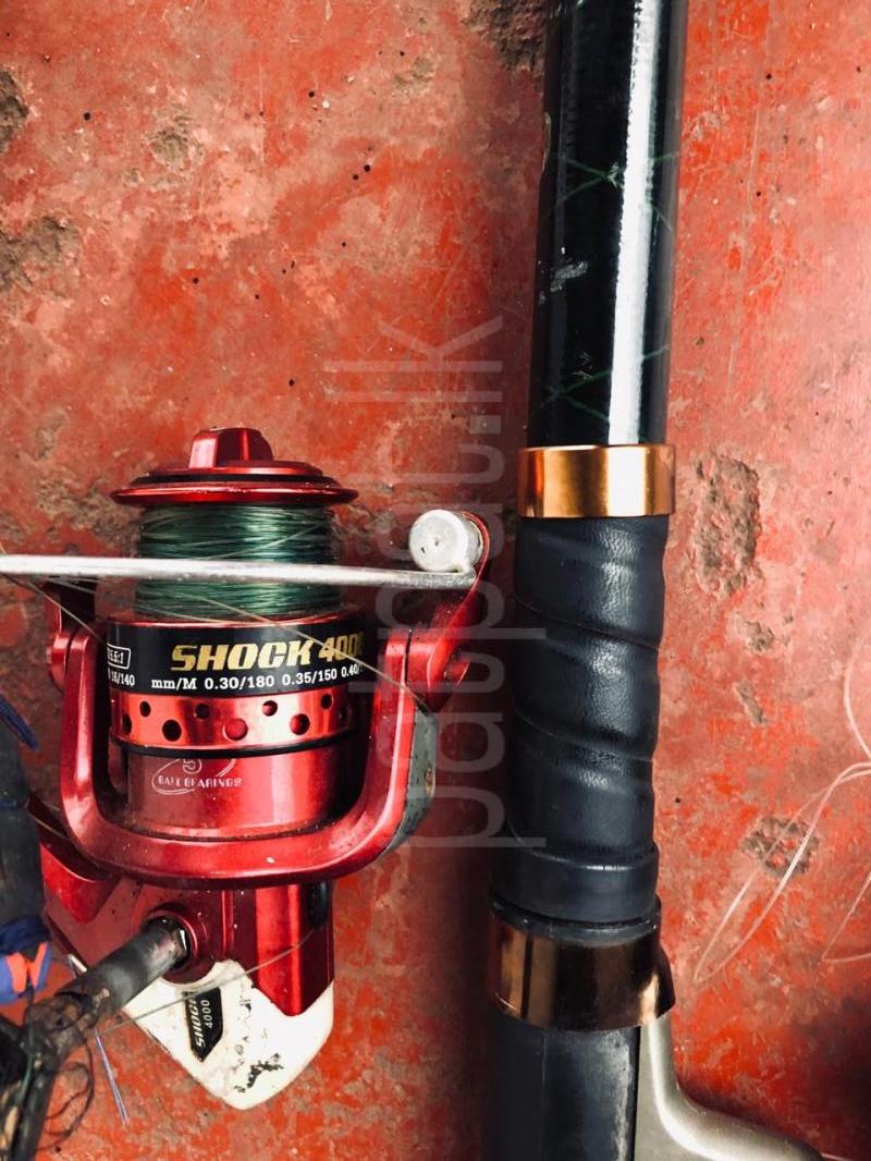 Advertisement image 4