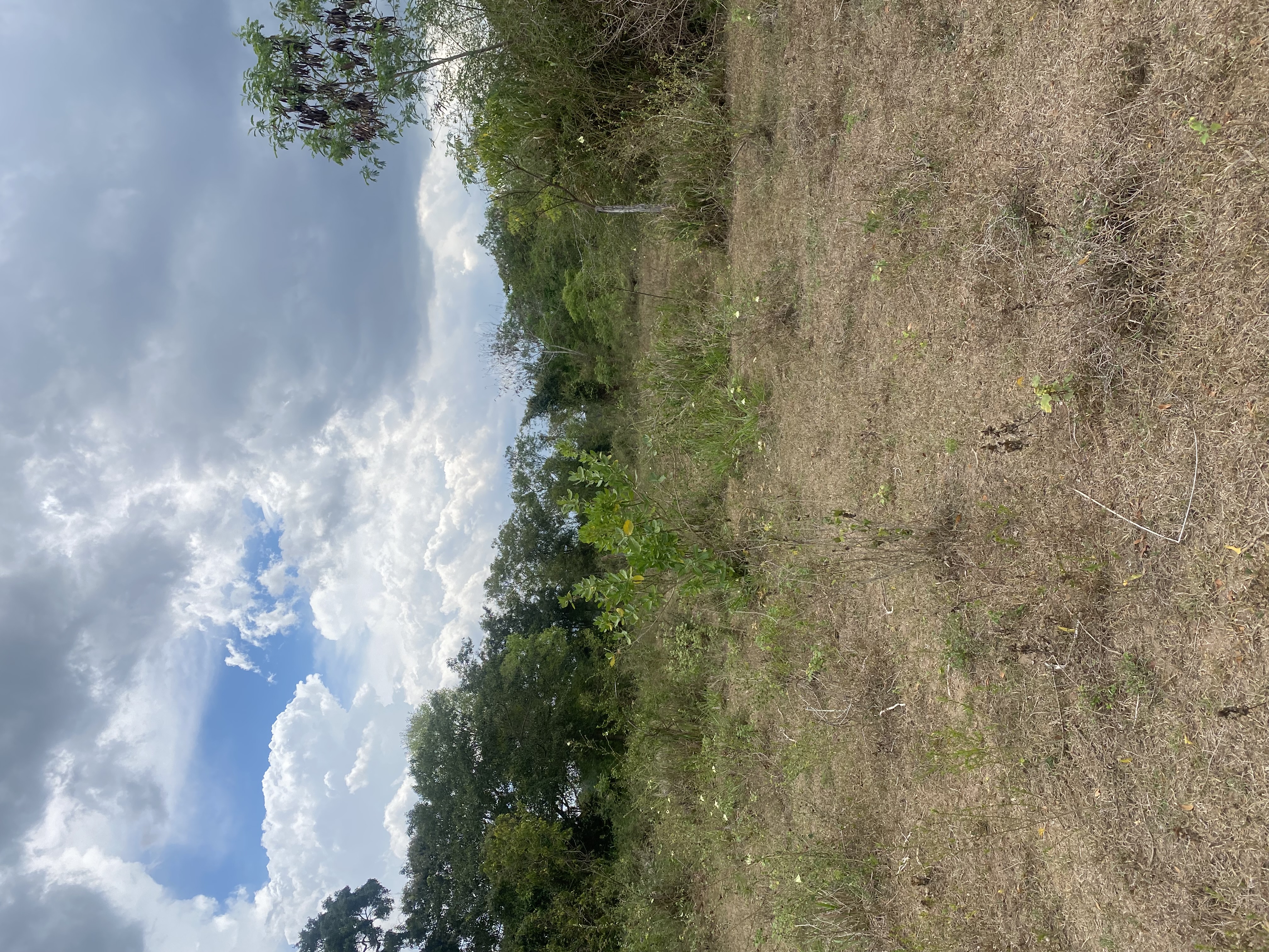 Residential Land for Sale in Mount Lavinia