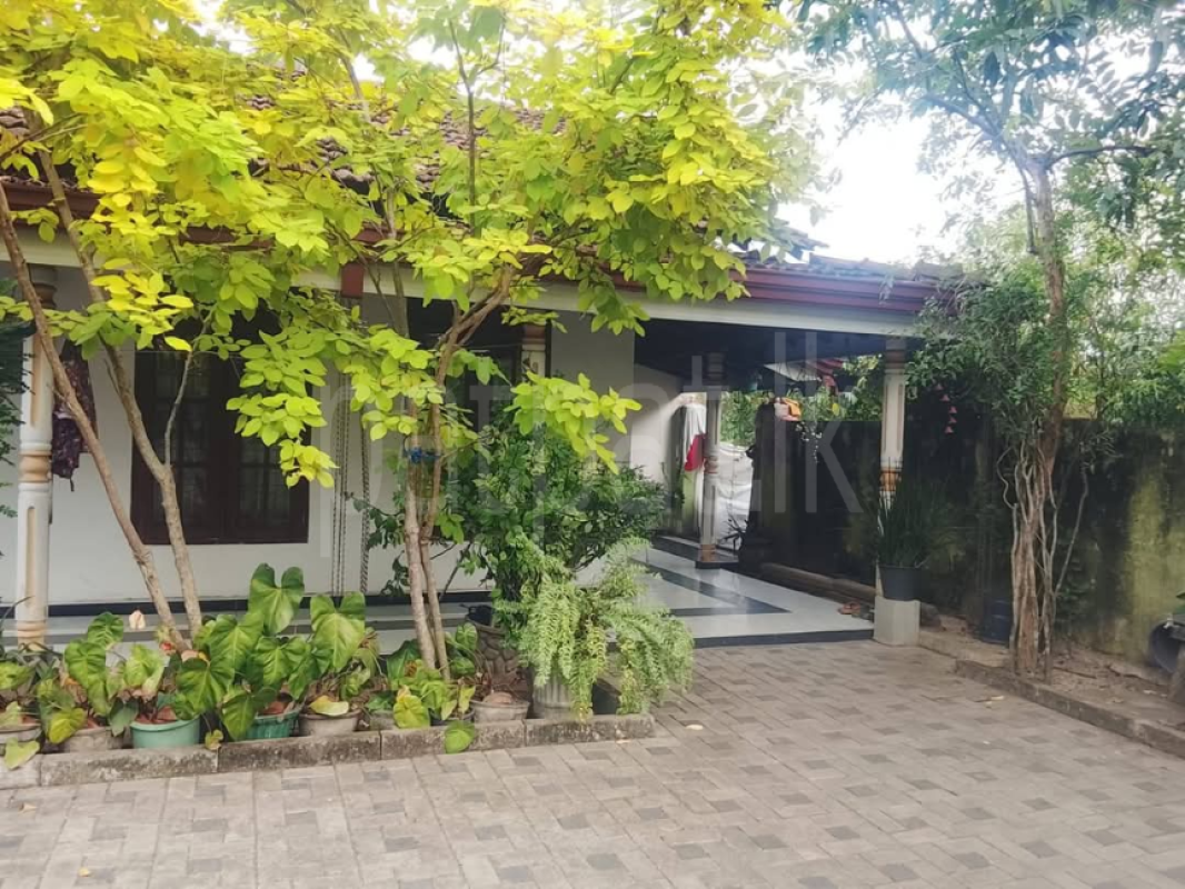 House for Sale in Negombo ads-image-1