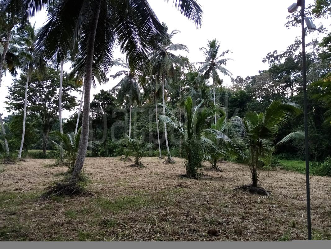 premium-listing-image