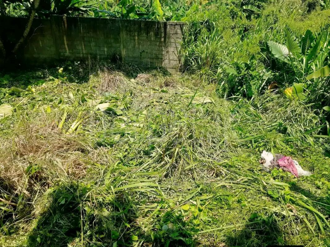 Residential Land for Sale in Yakkala ads-image-1