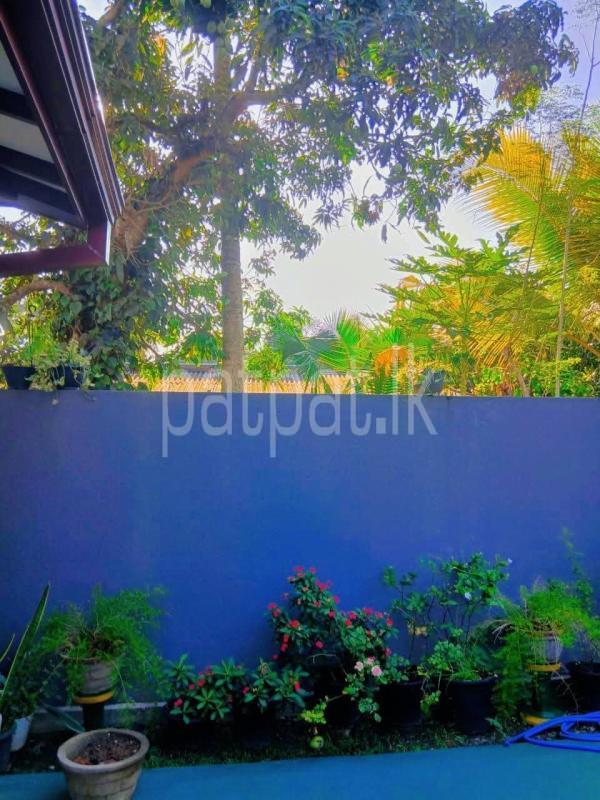 House for Sale in Piliyandala