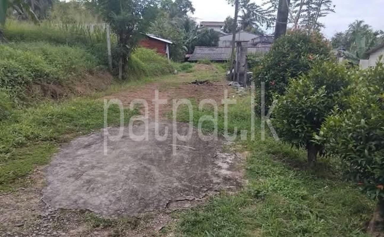 Advertisement image 1