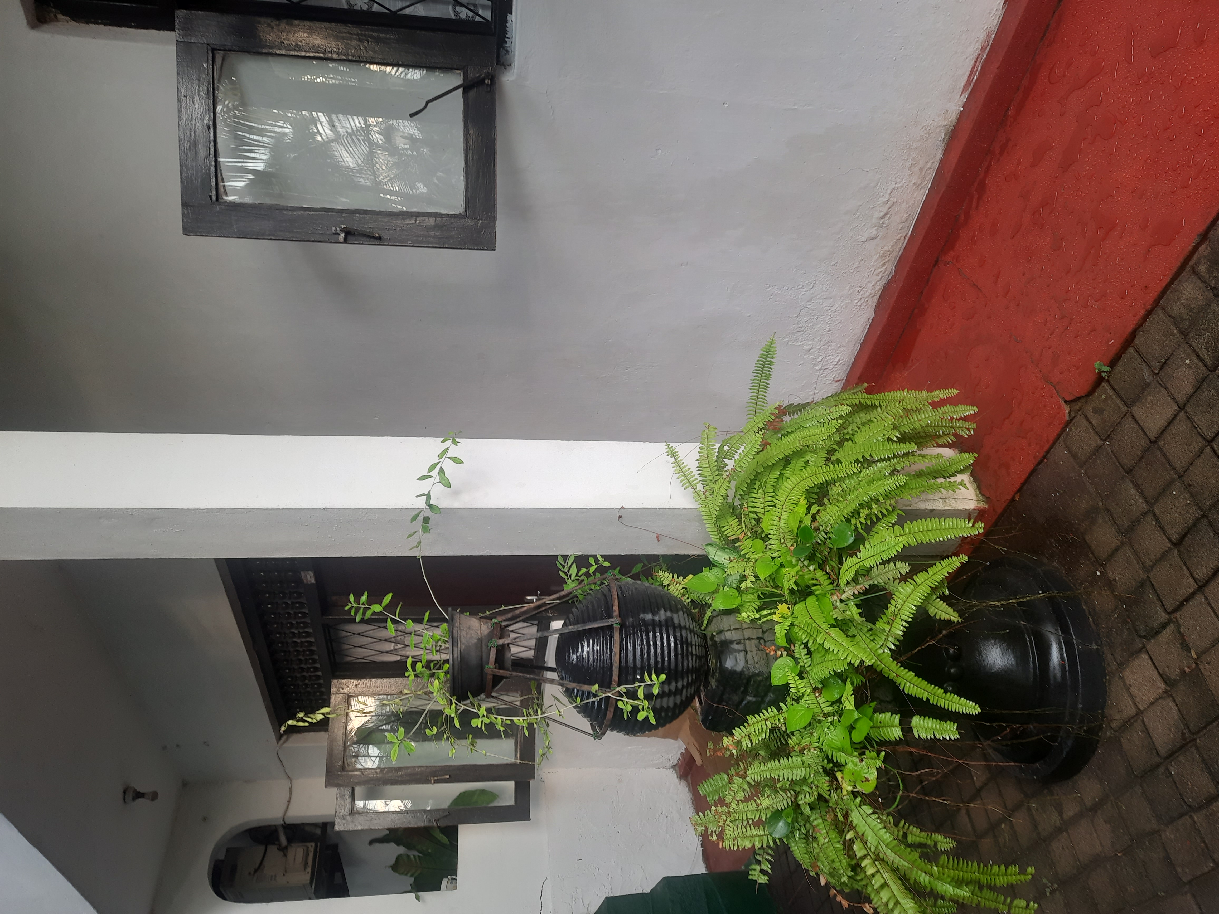 Annex for Rent in Maharagama