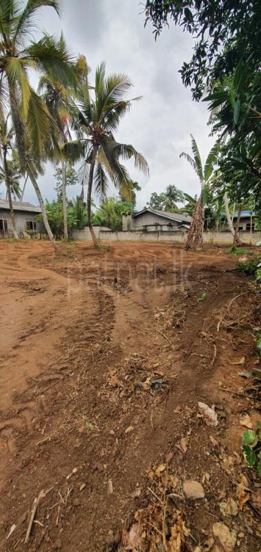 Commercial Land for Sale in Nittambuwa ads-image-1
