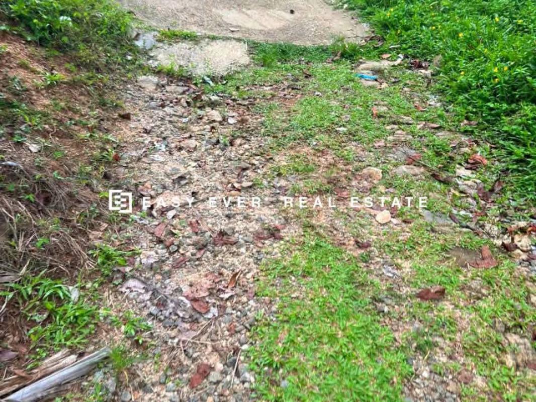 Residential Land for Sale in Nittambuwa