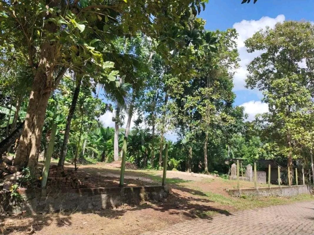 Residential Land for Sale in Panadura