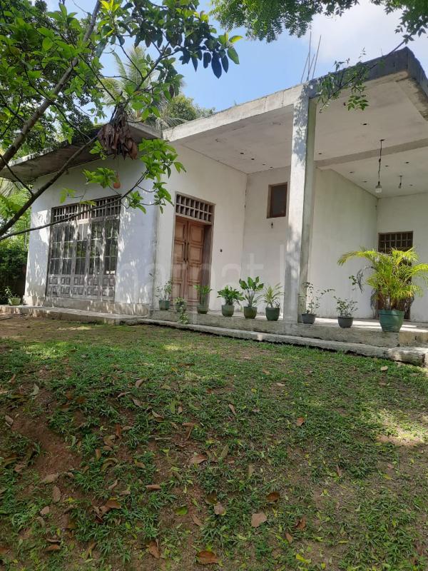 House for Sale in Ekala ads-image-1