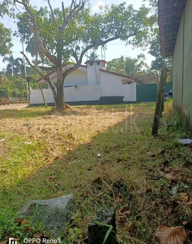 Agricultural Land for Sale in Polgahawela