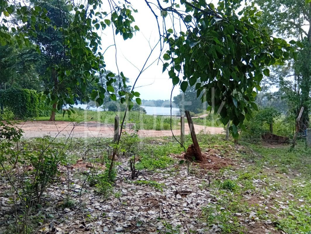 Residential Land for Sale in Mihintale