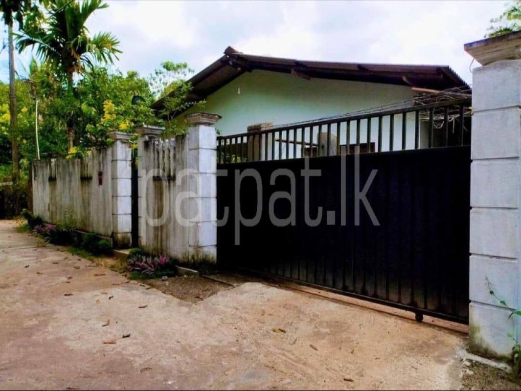 House for Sale in Kalagedihena ads-image-1