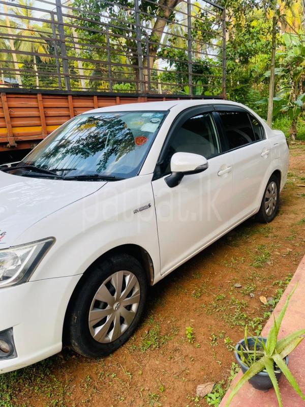 Advertisement image 2