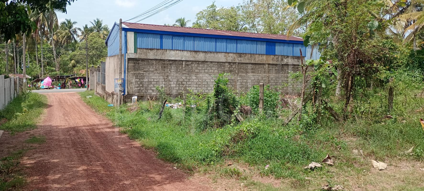 Commercial Land for Sale in Nattandiya ads-image-1