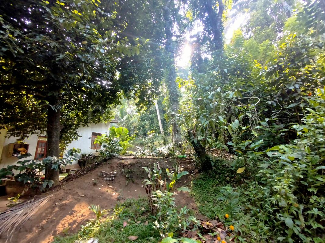 Residential Land for Sale in Menikhinna