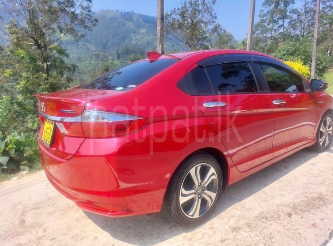 Advertisement image 3