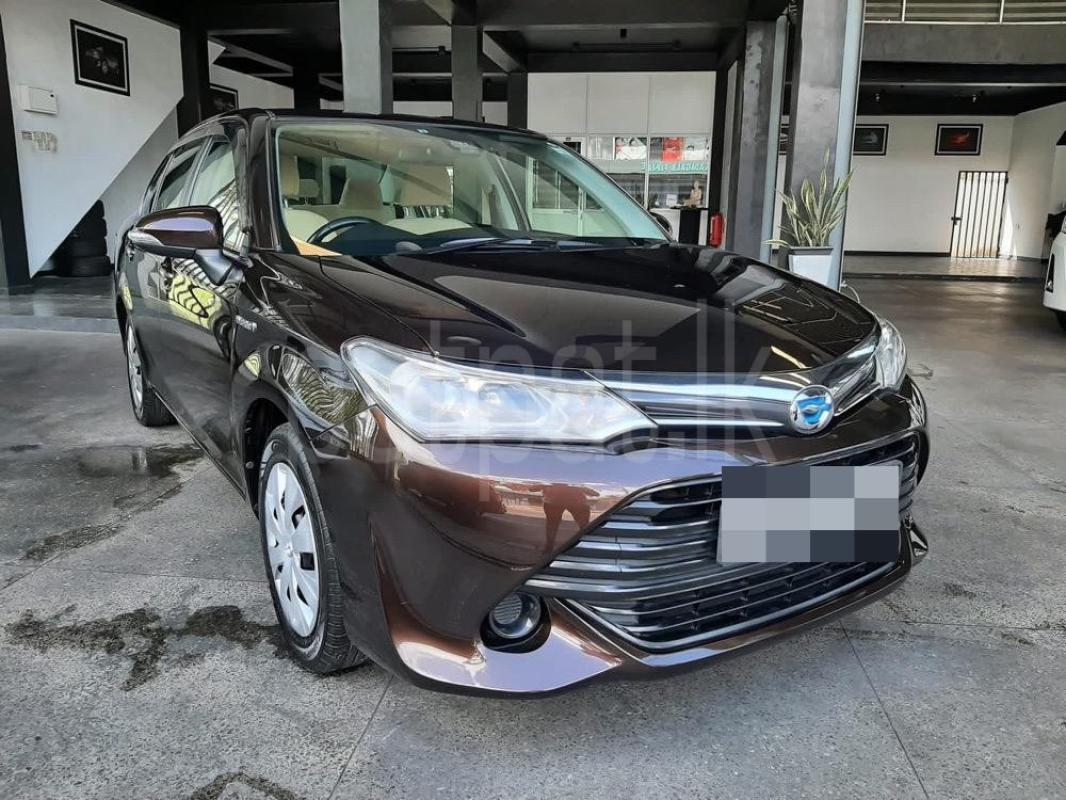 Advertisement image 3