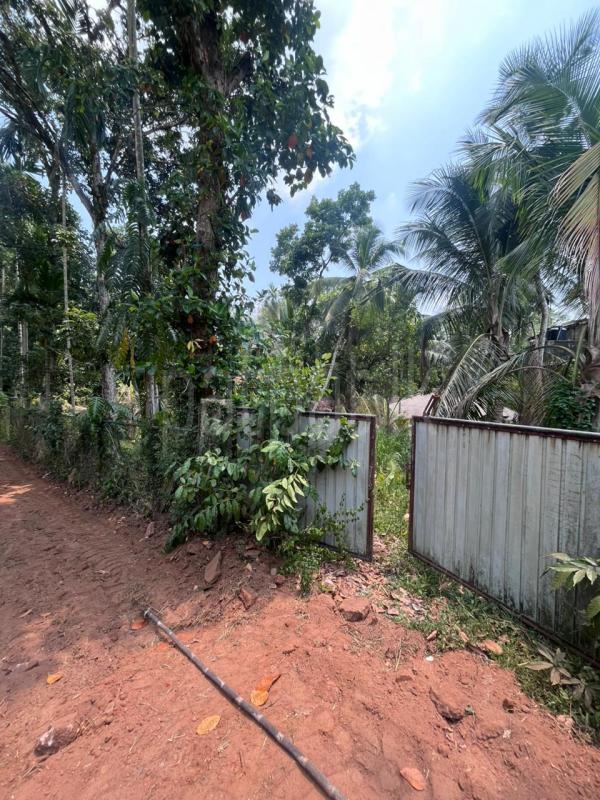 Residential Land for Sale in Dompe